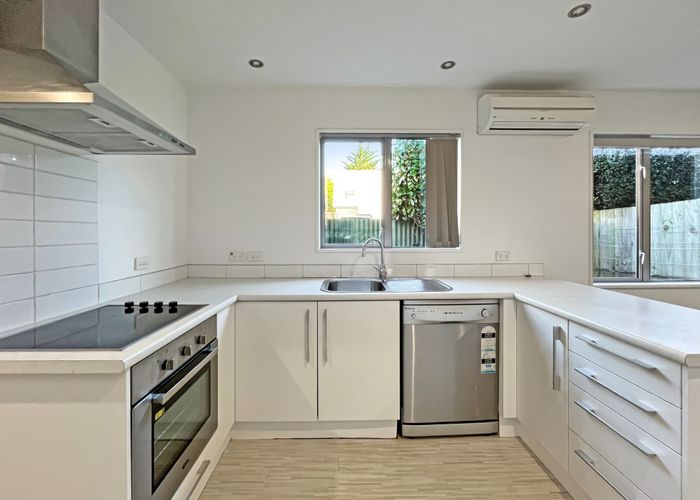  at 17 Antrim Street, Sydenham, Christchurch