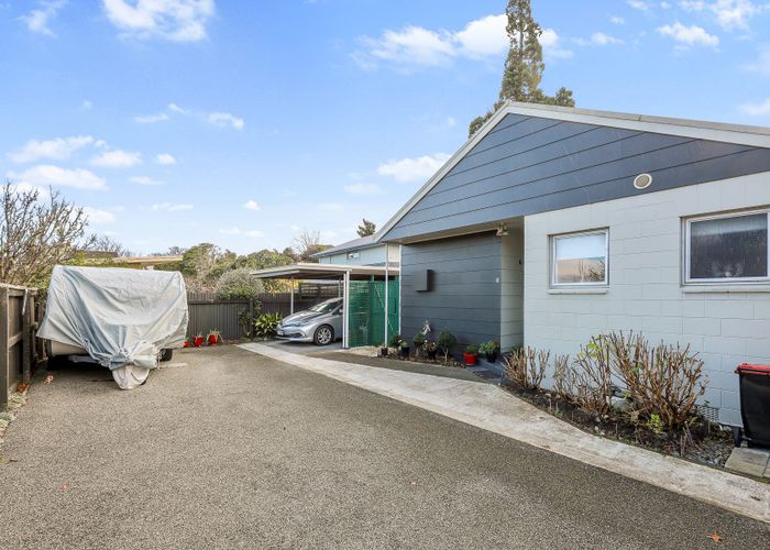  at 5/6 Poynter Street, Blenheim, Blenheim, Marlborough