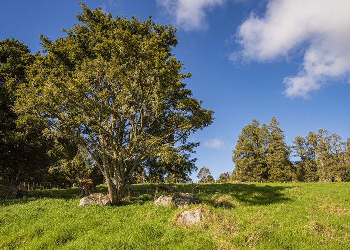  at 451 Crane Road, Kauri, Whangarei, Northland