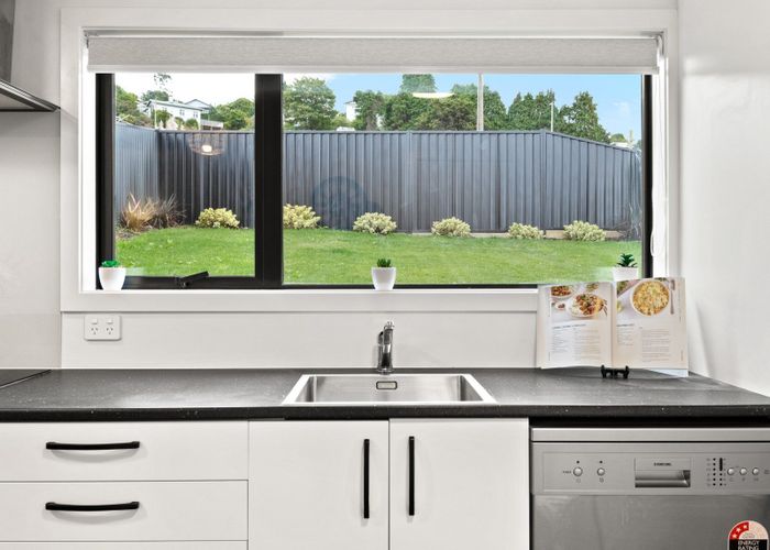  at 164 South Road, Caversham, Dunedin, Otago