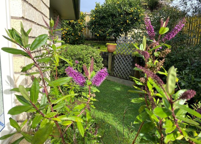  at 1B Liverpool Street, Epsom, Auckland