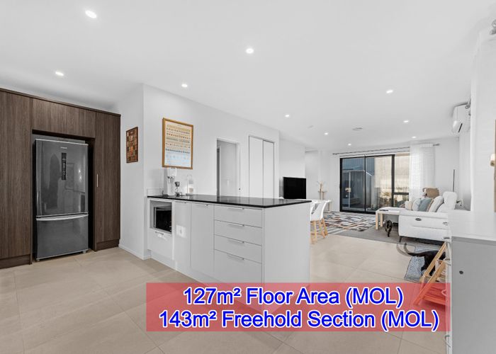  at 16 Magnetite Lane, Flat Bush, Manukau City, Auckland