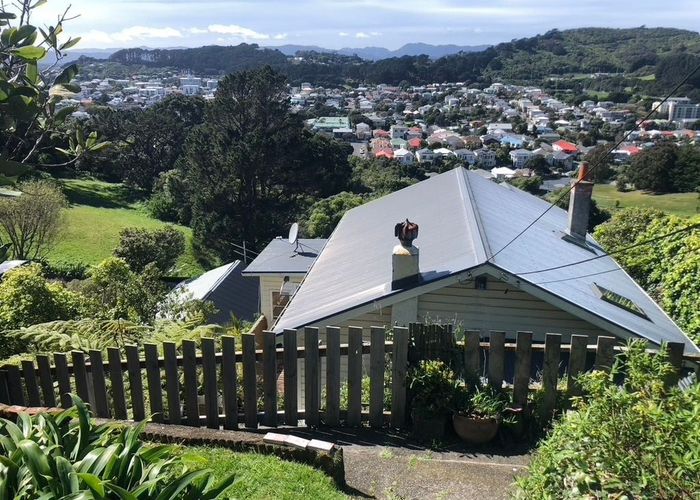  at 19 Priscilla Crescent, Mornington, Wellington, Wellington