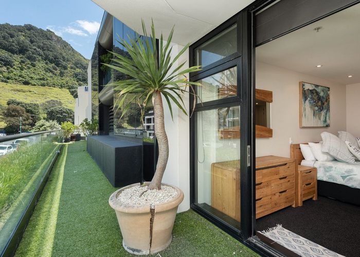 at P1/11 Maunganui Road, Mount Maunganui 3116, Mount Maunganui, Tauranga, Bay Of Plenty