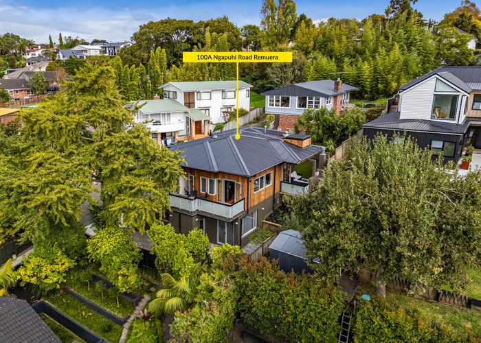  at 100A Ngapuhi Road, Remuera, Auckland City, Auckland