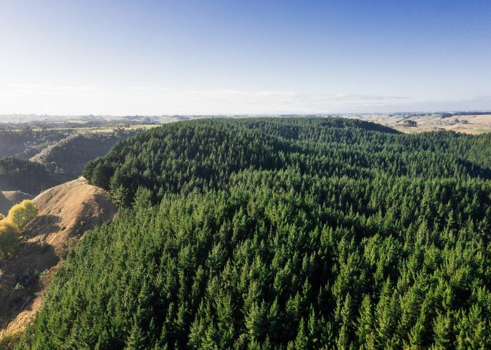  at Okoia Forests 1 & 2, Okoia, Whanganui, Manawatu / Whanganui