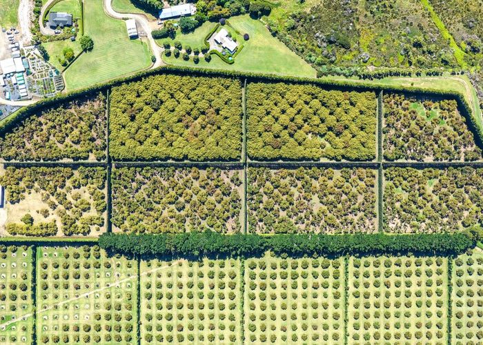  at 25 Orua Lane, Whenuakite, Thames-Coromandel, Waikato