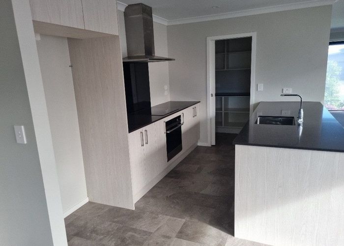  at 12 Harp Street, Morrinsville, Matamata-Piako, Waikato