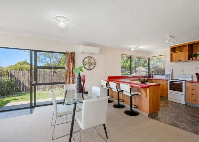  at 55 Brooklyn Drive, Redwoodtown, Blenheim, Marlborough