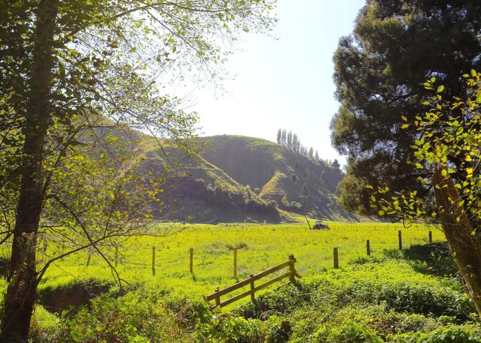 For sale Lot 1 and Lot 2 Longacre Road, Okoia, Whanganui, Manawatu