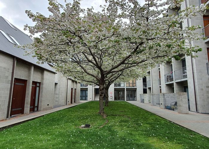  at 15/868 Colombo Street, City Centre, Christchurch City, Canterbury