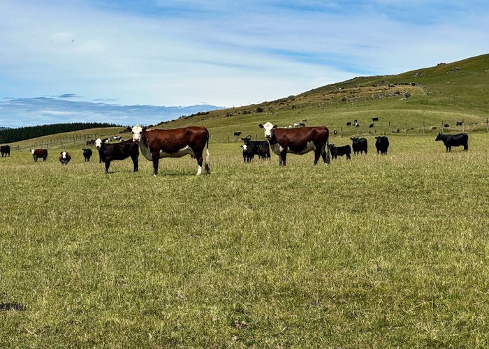  at 205B Dunrobin Valley Road, Mossburn, Southland, Southland