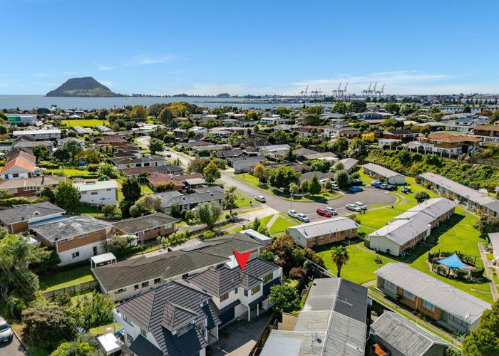  at 48A Pine Avenue, Otumoetai, Tauranga, Bay Of Plenty