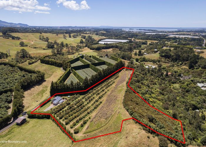  at 54D Chard Road, Katikati