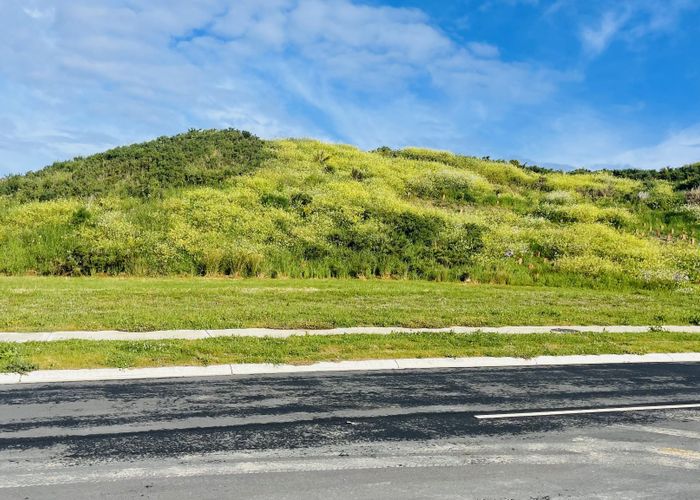  at 193 John Burke Drive, Aotea, Porirua, Wellington