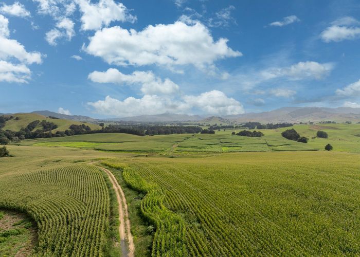  at 1179 Tahuna Road, Ohinewai, Waikato, Waikato