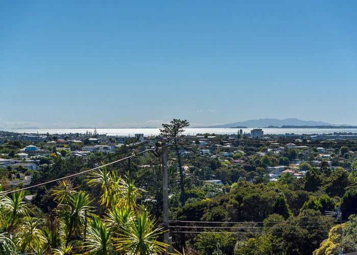  at 24 Speedy Crescent, Hillcrest, Auckland