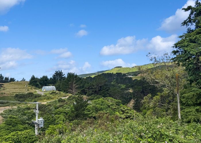  at 19 Richmond Hill, Glenside, Wellington, Wellington