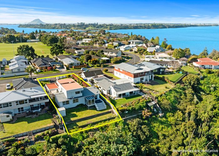  at 17 Te Hono Street, Maungatapu, Tauranga, Bay Of Plenty