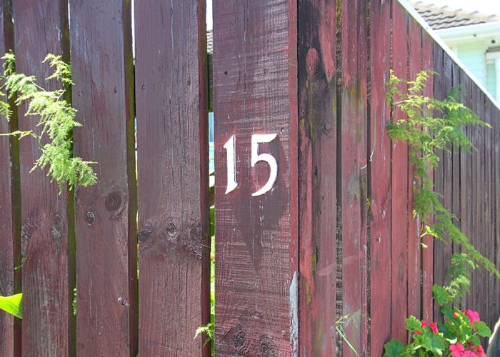  at 15 Masefield Avenue, Maraenui, Napier