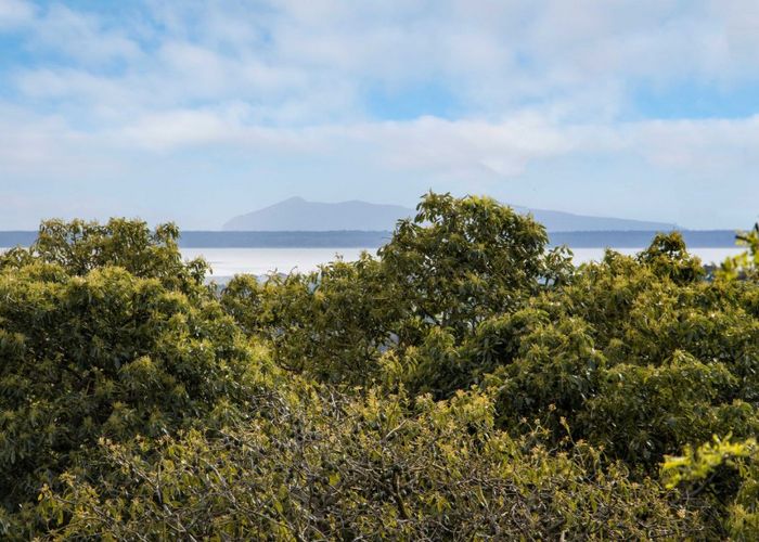  at 326 Lockington Road, Aongatete, Katikati