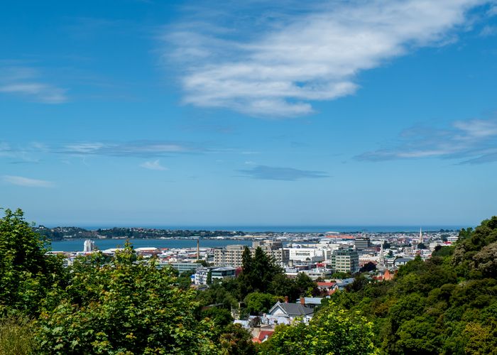  at 89 Warrender Street, North Dunedin, Dunedin