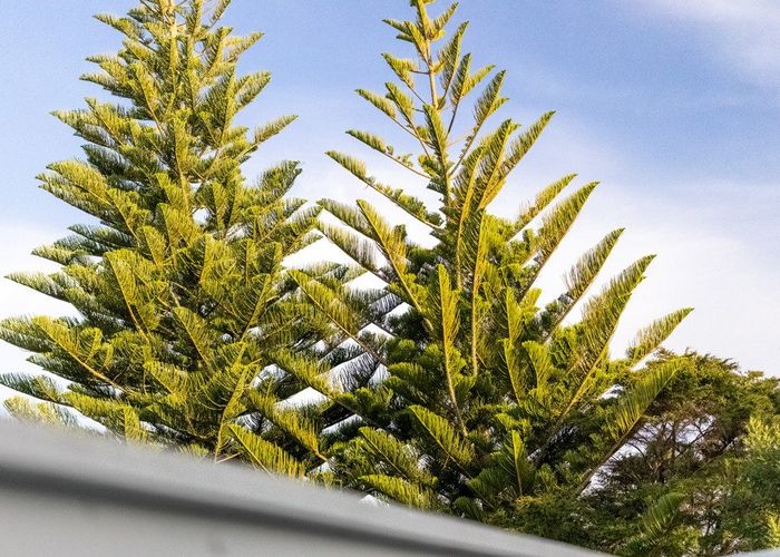  at 63 Hartley Terrace, Massey, Waitakere City, Auckland