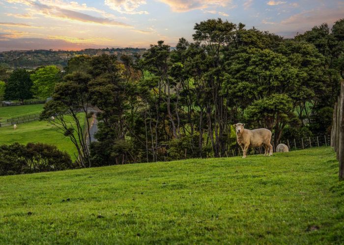  at 161 Waikoukou Valley Road, Waimauku, Waimauku