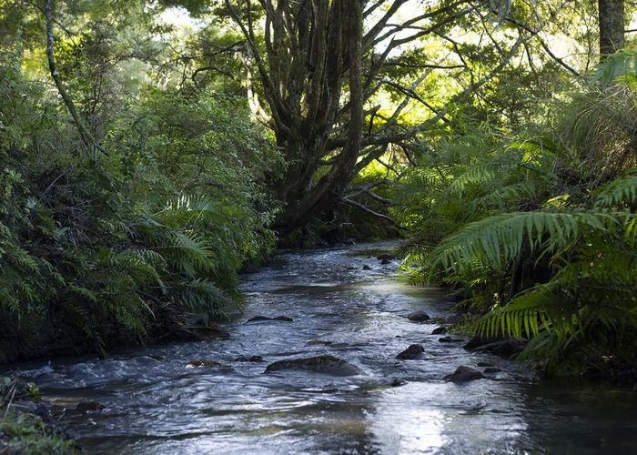  at 1238 Fern Flat Road, Kaeo, Far North, Northland
