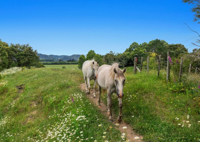  at 132 Foster Road, Taneatua, Whakatane, Bay Of Plenty