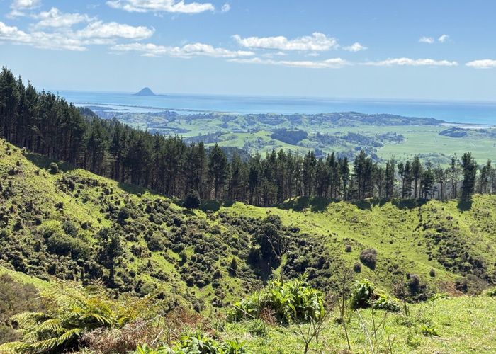  at 284 McCarthy Road, Opotiki, Opotiki, Bay Of Plenty