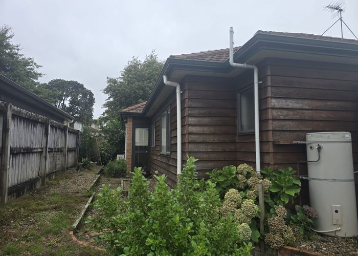  at 19 Jeffs Road, Flat Bush, Manukau City, Auckland