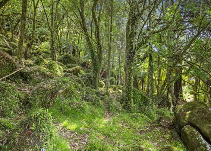  at 2846 Hunua Road, Hunua, Franklin, Auckland