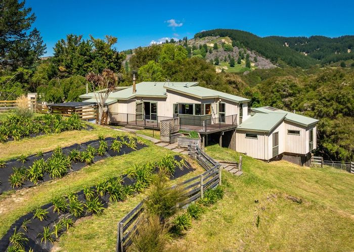  at 1079 Ellis Wallace Road, Eskdale, Hastings, Hawke's Bay
