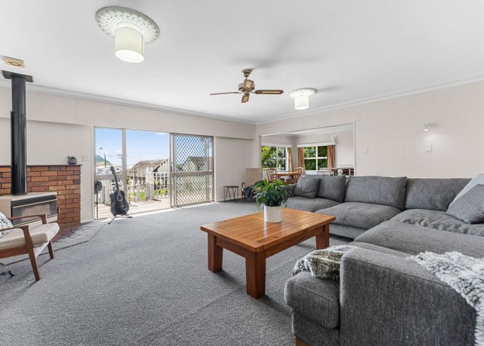  at 41 Seaview Road, Otumoetai, Tauranga, Bay Of Plenty
