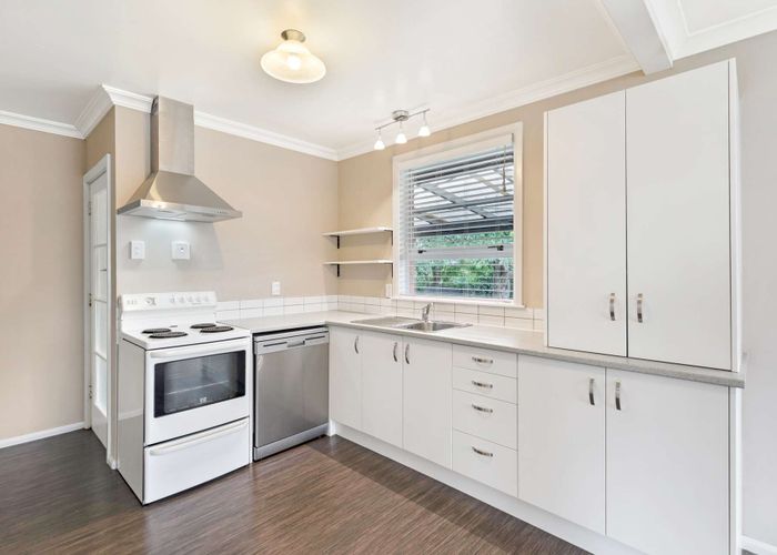  at 56 Windsor Street, Terrace End, Palmerston North
