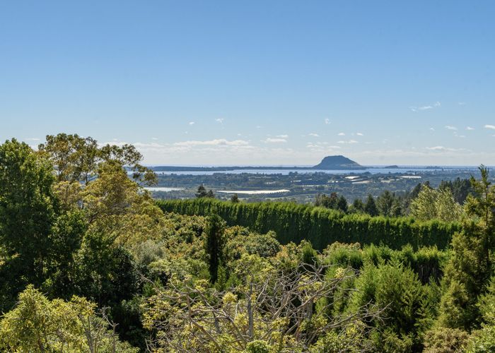  at 257D Whakamarama Road, Whakamarama, Tauranga