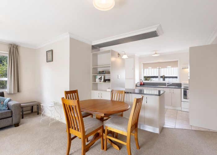  at 119B Otumoetai Road, Brookfield, Tauranga