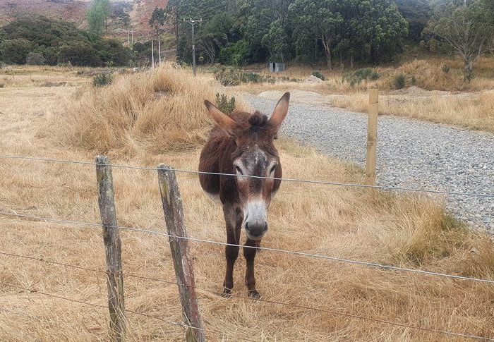  at 3626A Western Lake Road, Featherston, South Wairarapa, Wellington