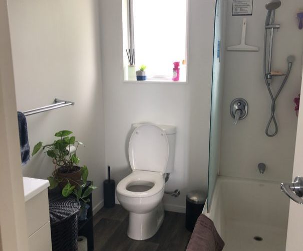  at 4 Kotuku Street, Frankton, Hamilton