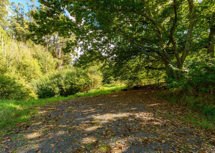  at 125 Boscabel Drive, Ohauiti, Tauranga, Bay Of Plenty