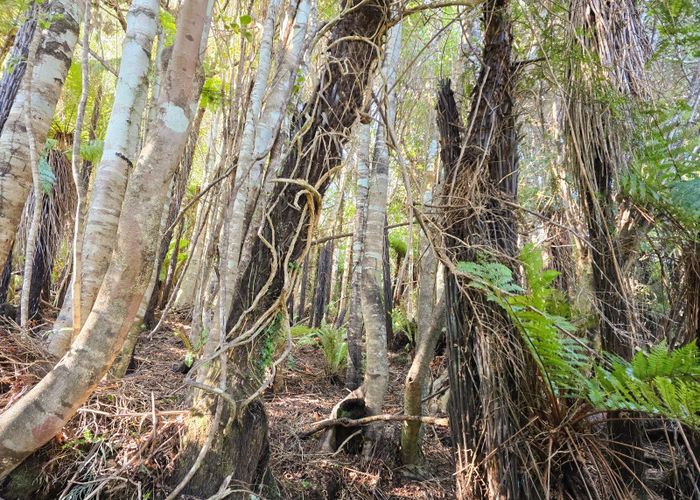  at 7 Rata Street, Stewart Island, Southland, Southland