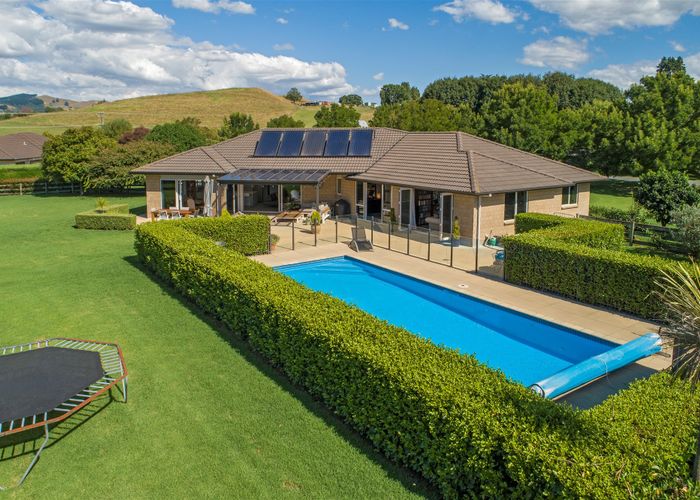  at 8 Nga Parae Road, Tauranga