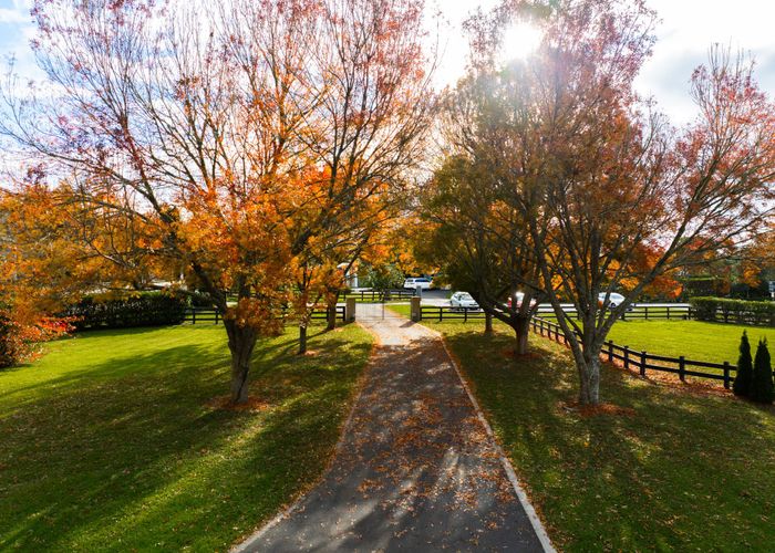  at 337B Newell Road, Tamahere, Hamilton