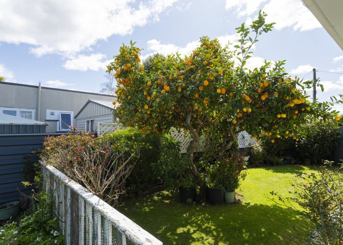  at 48 Andrew street, Elgin, Gisborne, Gisborne