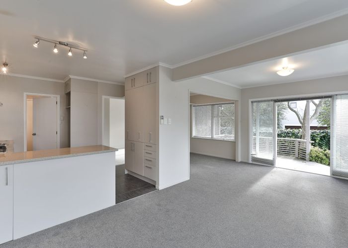  at 3/101 Shelly Beach Road, Saint Marys Bay, Auckland City, Auckland