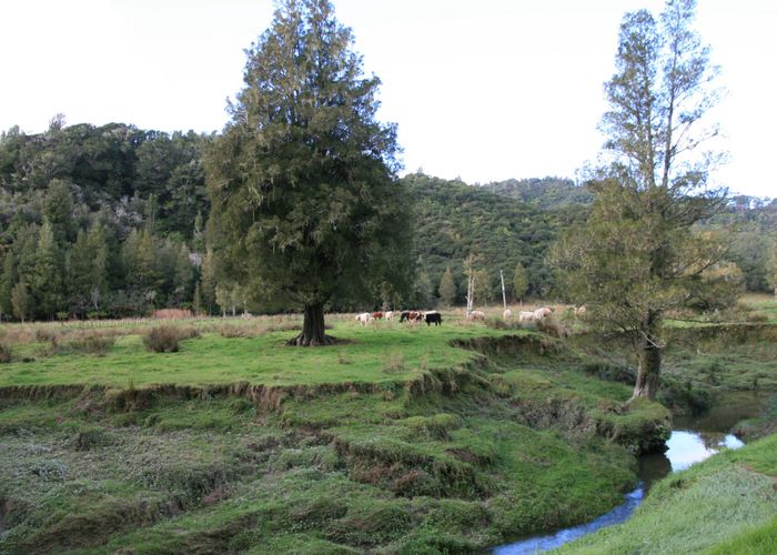  at 0n Mangaonga Road, Urenui, New Plymouth, Taranaki