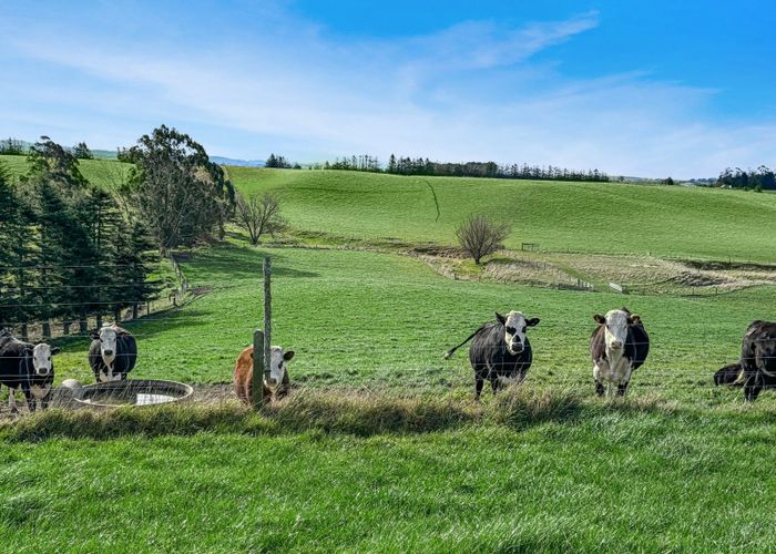  at 170 Happy Valley Road, Herbert, Waitaki, Otago