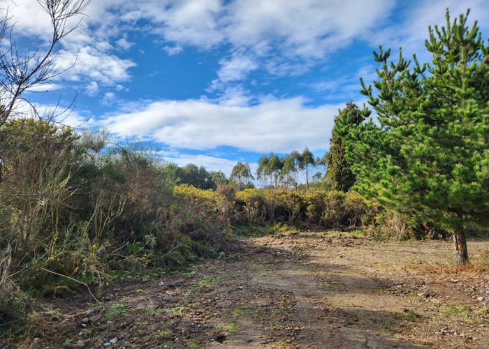  at 0 Maori Gully Road, DOBSON