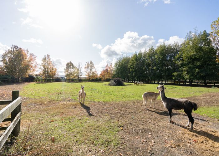  at 15 Broadmeadows Road, Tamahere